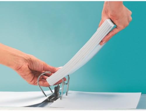 Leitz Lever Arch File, Light red, A4, 80mm Width, Plastic, 10100020