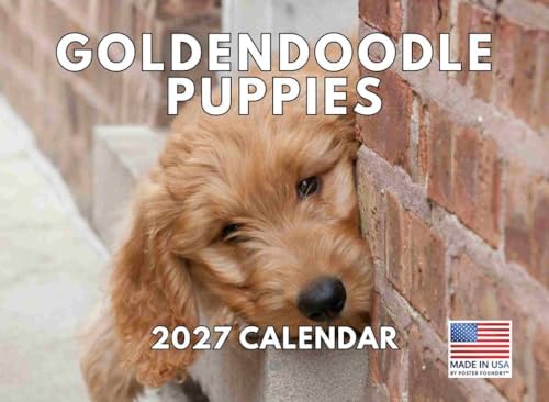 Goldendoodle Puppy Calendar 2027 Golden Doodle Monthly Wall Calender 12 Month