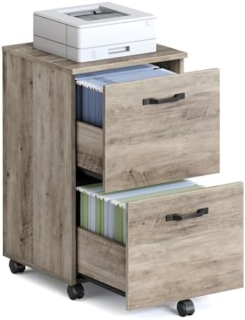 VASAGLE 2-Drawer File Cabinet, Small Rolling Filing Cabinet
