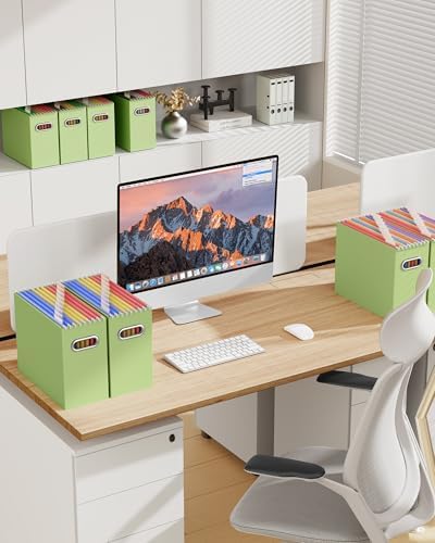 Oterri Portable Collapsible Cardboard File Box with Handle for Letter-Size | 6-Pack. Stainless Steel Handle. Label Stickers Included. Fits Letter Folders (Not Included). Home, Office, School, Dorm, Tax.