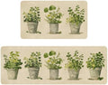 Spring Summer Farmhouse Kitchen Rugs and Mats Set of 2,French Herbs Wildflowers Flowers Floral Plants Non Slip Washable Floor Sink Mats Decorations for Home Kitchen 18"x48"+18"x30"