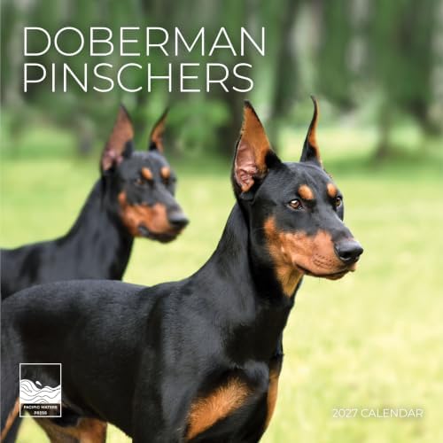 Doberman Pinschers 2027 Wall Calendar, 12 x 24 Hanging Pacific Waters Press