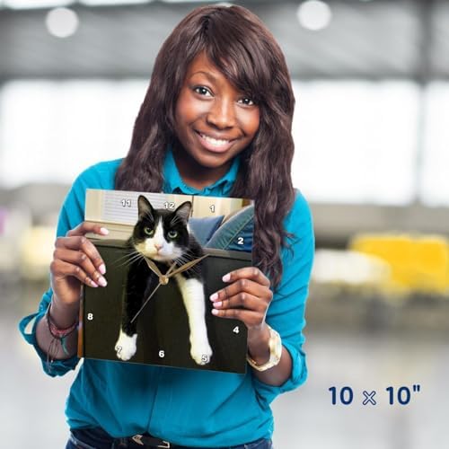 3dRose dpp_23450_3 Black and White Cat with Nothing To-Do Wall Clock, 15 by 15-Inch