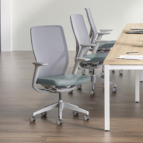HON Flexion Ergonomic Office Chair, Lumbar Support, Office Desk, Darkness