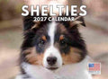 Sheltie Calendar 2027 Shetland Sheepdogs Monthly Wall Calender 12 Month
