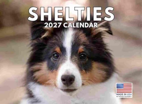 Sheltie Calendar 2027 Shetland Sheepdogs Monthly Wall Calender 12 Month