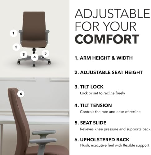HON Ignition 2.0 Ergonomic Office Chair, Lumbar Support, Desk Chair, Bark