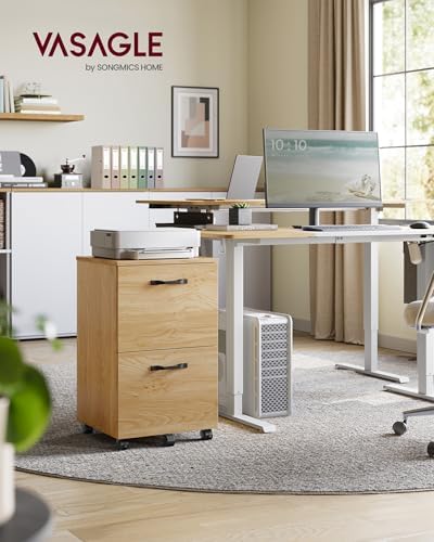 VASAGLE 2-Drawer File Cabinet, Small Rolling Filing Cabinet