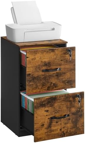 VASAGLE 2 Drawer File Cabinet with Locks, for A4, Letter Sized Documents