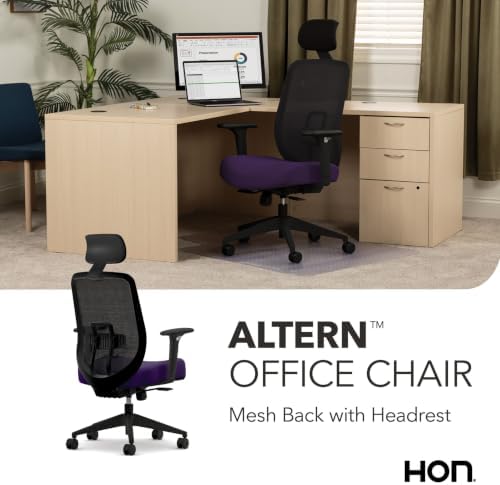 HON Altern Ergonomic Office Chair, Office Desk Computer Chair, Iris