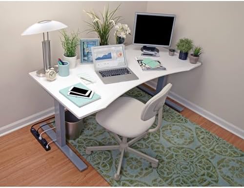 Tripp Lite 6 Outlet Surge Protector Power Strip 6ft Cord 990 Joules Dual USB Charging & Insurance (TLP606USBB)