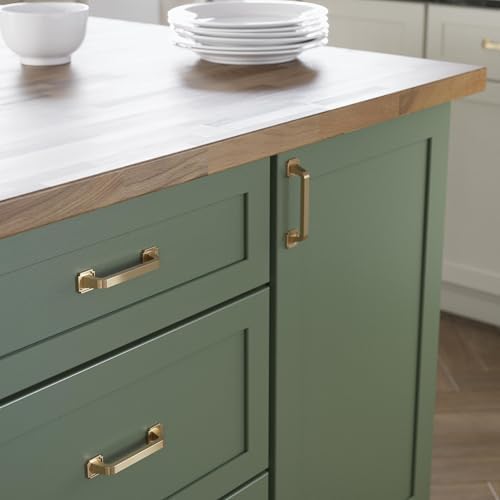 Franklin Brass 10 Pack Champagne Bronze Gold Cabinet Handles 3-3/4 inch (96mm) Kitchen Cabinet Handles and Drawer Pulls for Cupboards and Dressers |Notched Backplate