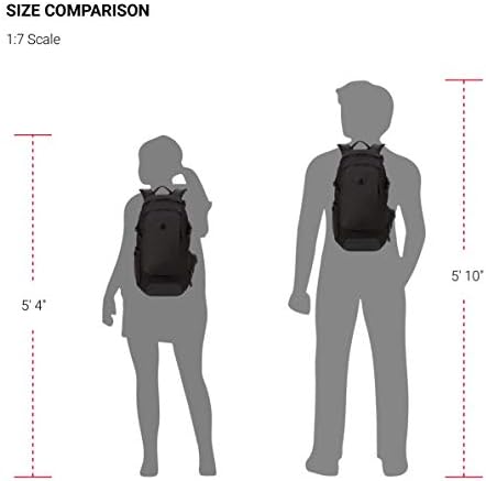 SwissGear 3598 Backpack, Narrow Daypack, Ideal for Commuting and College