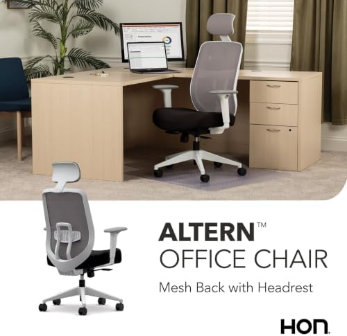 HON Altern Ergonomic Office Chair, Office Desk Computer Chair, Black