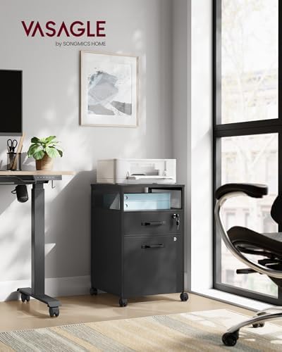VASAGLE 2 Drawer File Cabinet with Lock, Rolling Printer Stand