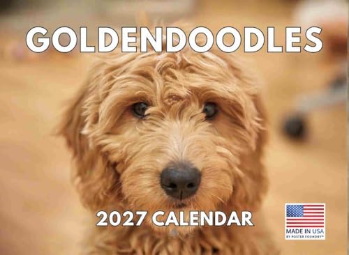 Goldendoodle Calendar 2027 Golden Doodle Monthly Wall Calender 12 Month