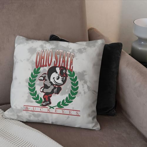 Northwest NCAA Ohio State Buckeyes Hipster Double-Sided Printed Throw Pillow, Soft Decorative Polyester Fan Cushion, Couch Bed or Game Room Decor, 18 x 18 in