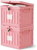 Oterri Lockable Plastic File Box with Lid for Letter-Size | Hanging File Folders Not Included. Pink, Large 2-Pack. Home, Office, Classroom, Dorm, Tax, Under Bed, Filing Cabinet.