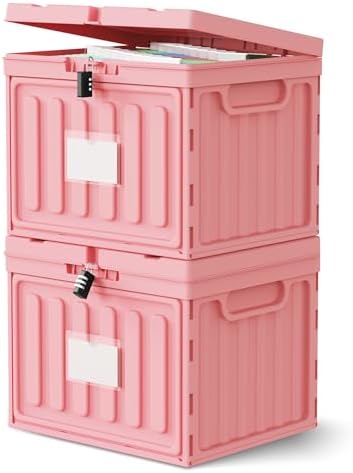 Oterri Lockable Plastic File Box with Lid for Letter-Size | Hanging File Folders Not Included. Pink, Large 2-Pack. Home, Office, Classroom, Dorm, Tax, Under Bed, Filing Cabinet.
