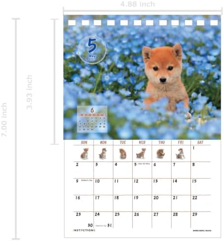 Shiba Inu Desktop Calendar 2027, Cute Dog & Puppy Photos, Japanese Scenery