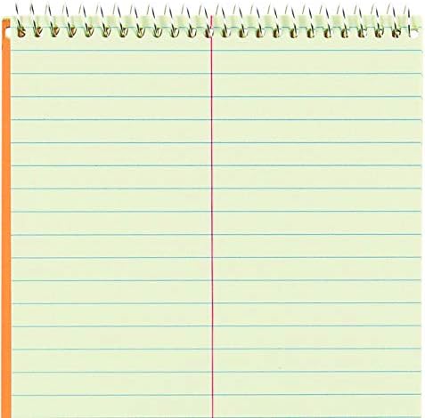 National Brown Board Cover Steno Notebook, Gregg Ruling, Green Eye-Ease Paper, 80 Sheets, 6 x 9.25 x 6 inches, Pack of 12 (36746-12)