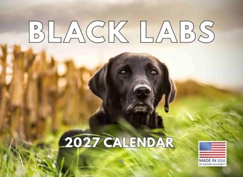 Black Lab Calendar 2027 Labs Monthly Wall Calender 12 Month