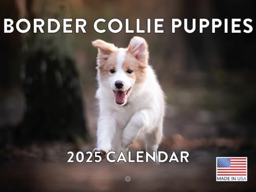 Border Collie Puppy Calendar 2027 Monthly Wall Calender 12 Month