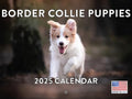Border Collie Puppy Calendar 2027 Monthly Wall Calender 12 Month