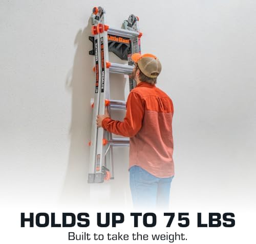 Little Giant Ladder Rack Wall-Mount Ladder Storage Accessory, 15097