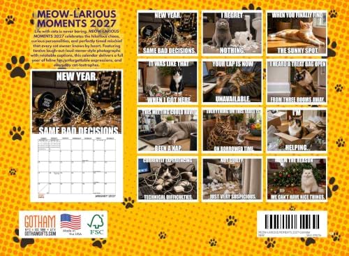 Funny Cat Calendar 2027 Cats Monthly Wall Calender 12 Month