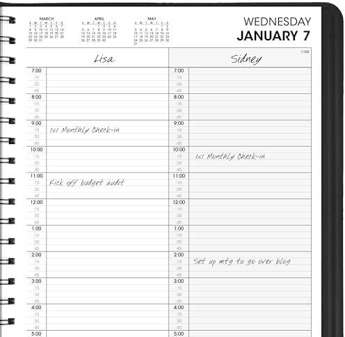 AT-A-GLANCE 2026 Appointment Book Planner, Daily, 8" x 11", Large, Two Person Group, Black (702220526)
