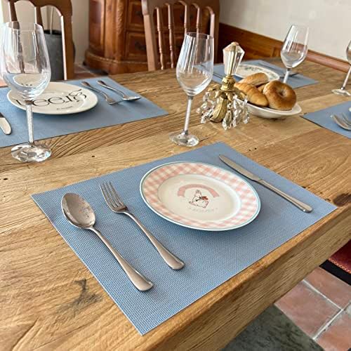 WAZAIGUR Placemats Crisscross Woven Vinyl Place Mats Set of 4 Nattier Blue