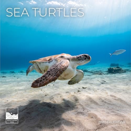 Sea Turtles 2027 Wall Calendar, 12 x 24 Hanging Pacific Waters Press