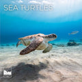 Sea Turtles 2027 Wall Calendar, 12 x 24 Hanging Pacific Waters Press