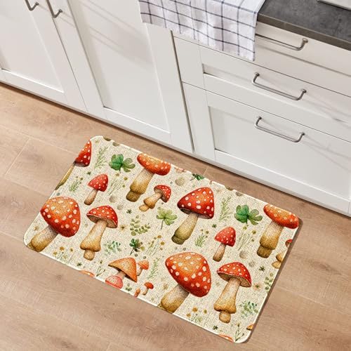 Kitchen Rugs and Mats,Washable Non-Slip Floor Mats Door Mat
