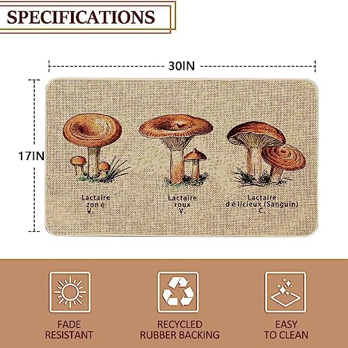 Mloabuc Kitchen Rugs and Mats,Washable Non-Slip Floor Mats Door Mat