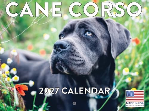Cane Corso Calendar 2027 Monthly Wall Calender 12 Month