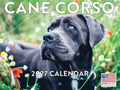 Cane Corso Calendar 2027 Monthly Wall Calender 12 Month