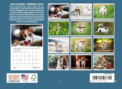 Jack Russell Terrier Smooth Coat Calendar 2027 Monthly Wall Calender 12 Month
