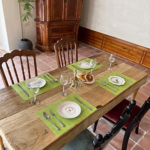 WAZAIGUR Placemats Crisscross Woven Vinyl Place Mats Set of 6 Green