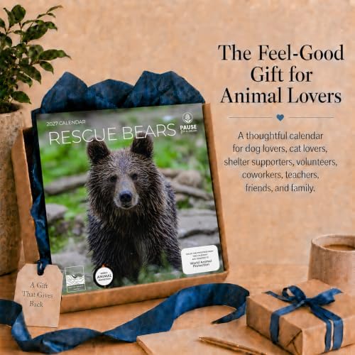 2027 Rescue Bear Wall Calendar, 12 x 24 Hanging Pacific Waters Press