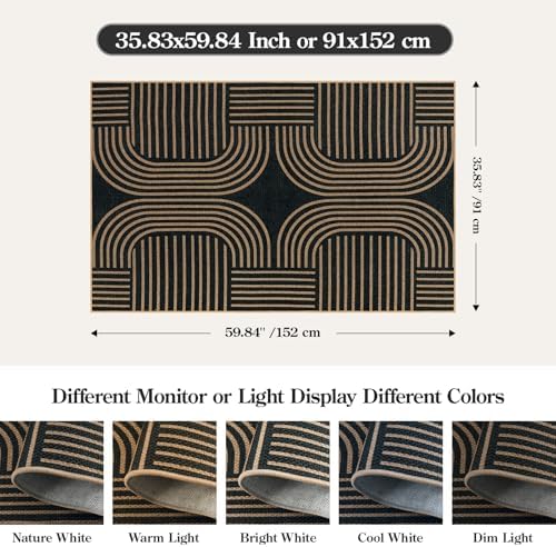 Lahome Modern Black Rug for Bedroom Living Room, 3x5 Outdoor Entryway Rug