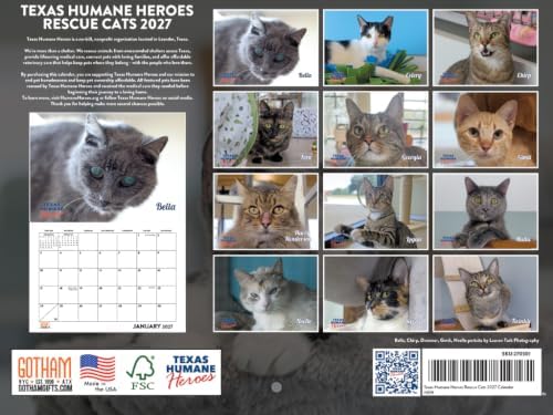 Rescue Cat Calendar 2027 Monthly Wall Calender 12 Month