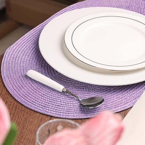 AHHFSMEI Placemats Set of 6 for Dining Table Washable Woven Non-Slip 18x12 inches Placemat Heat-Resistant Durable Table Mats for Dining Table Easy to Clean(Lavender Purple)