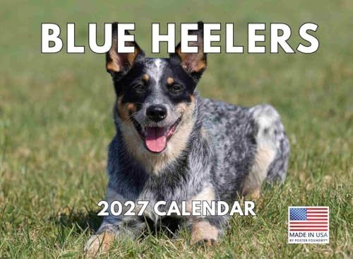 Blue Heeler Calendar 2027 Monthly Wall Calender 12 Month