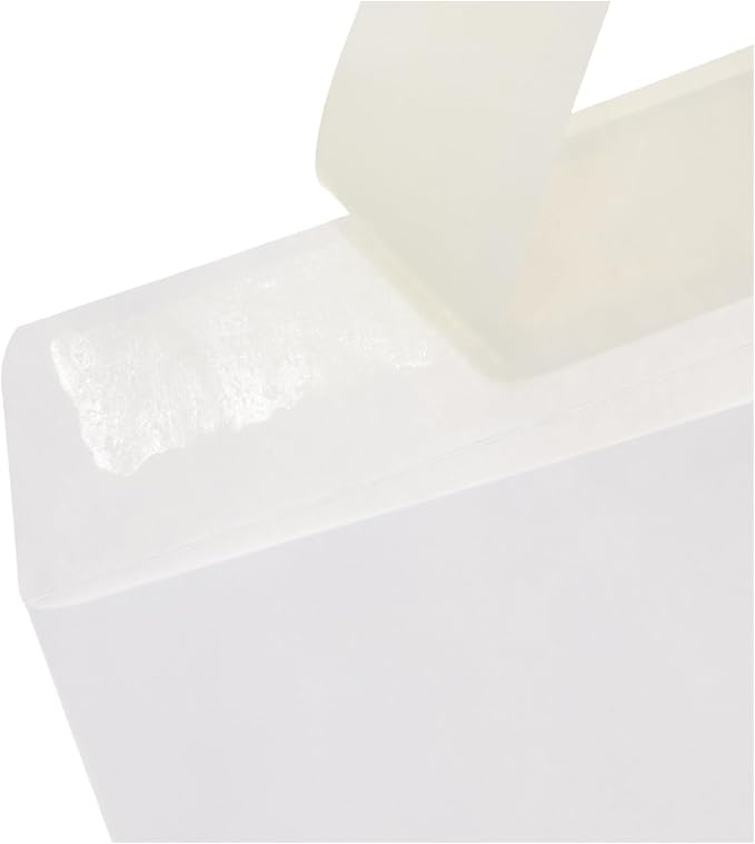 Amazon Basics Catalog Mailing Envelopes, Peel and Seal, 9x12 Inch, White, 250-Pack