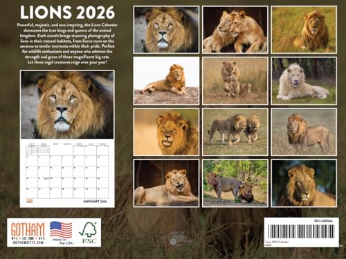 Lion Calendar 2026 Lions Monthly Wall Calender 12 Month | American Made In The USA