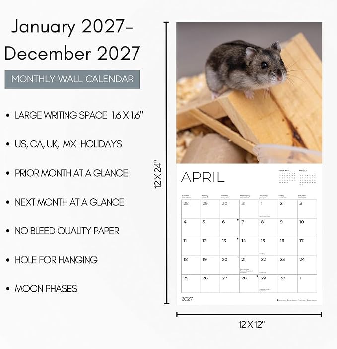 Hamsters 2027 Wall Calendar, 12 x 24 Hanging Pacific Waters Press