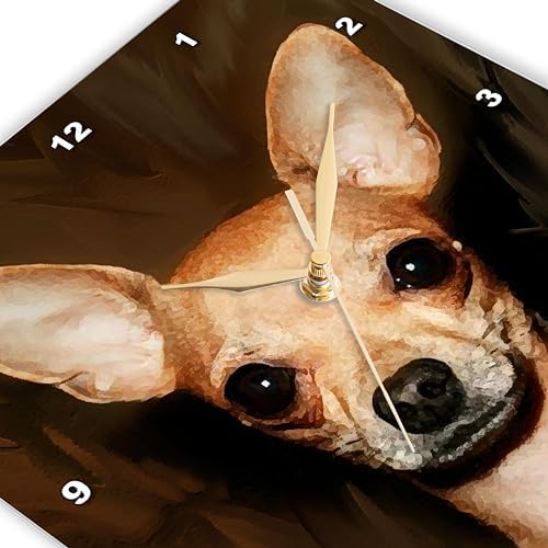 3dRose Wall Clock Silent - 10 inch - Chihuahua Portrait - Dogs Chihuahua
