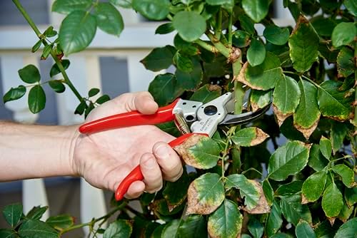 Corona BP 4250 Forged Steel Aluminum Handles Bypass Hand Pruner - 1 inch Cut Capacity Stem and Branch Garden Shears, Red (Pack of 6)
